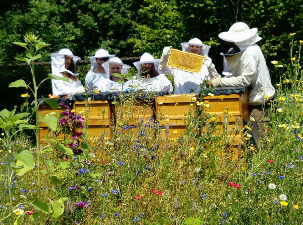 Ein weiteres Jahr Imkerei-AG – eine Bilanz Ein weiteres Jahr Imkerei-AG – eine Bilanz